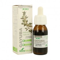 GAYUBA EXTRACTO 50ML SORIA...