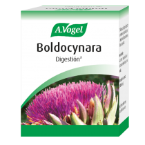 BOLDOCYNARA  60 C0MPR A.VOGEL
