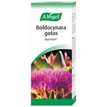 BOLDOCYNARA GOTAS 100ML...