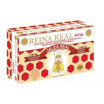 JALEA REAL REINA REAL VITAL...