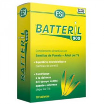 Batteril 900 ESI