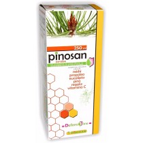 PINOSAN JARABE 250ML PINISAN