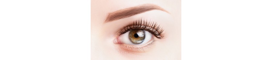 Remedios para la Vista » 【Herbodietetica Sport】